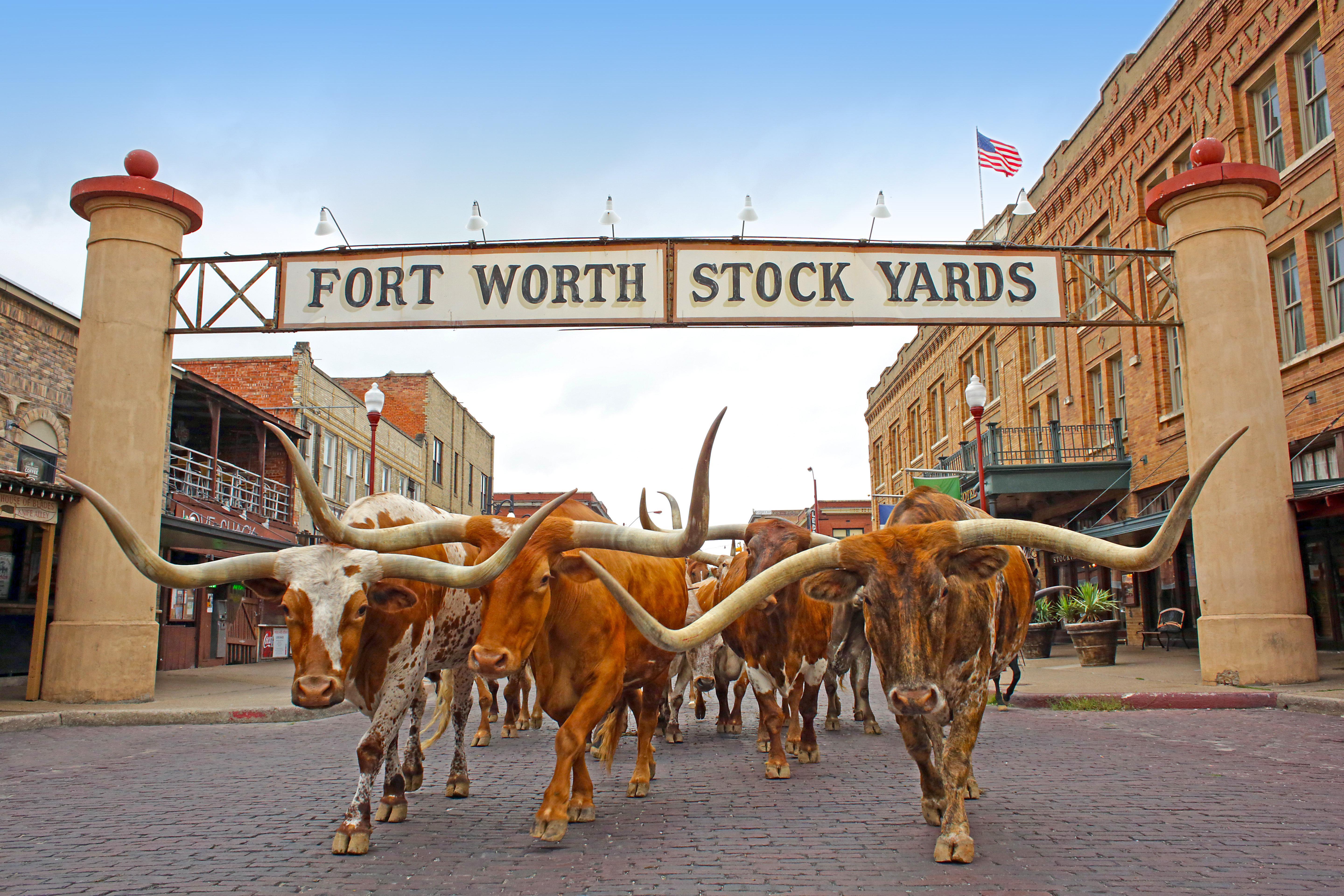 Holiday Inn Express Hotel And Suites Fort Worth/I-20 Extérieur photo